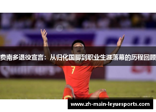 费南多退役宣言：从归化国脚到职业生涯落幕的历程回顾