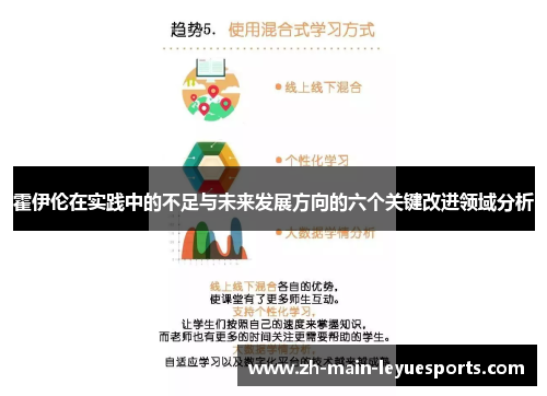 霍伊伦在实践中的不足与未来发展方向的六个关键改进领域分析