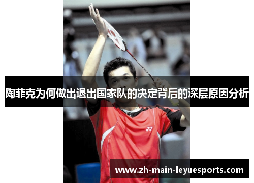 陶菲克为何做出退出国家队的决定背后的深层原因分析