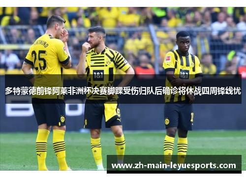 多特蒙德前锋阿莱非洲杯决赛脚踝受伤归队后确诊将休战四周锋线忧 多特蒙德前锋阿莱非洲杯决赛脚踝受伤归队后确诊将休战四周锋线忧