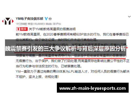 魏震禁赛引发的三大争议解析与背后深层原因分析