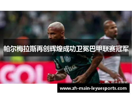 帕尔梅拉斯再创辉煌成功卫冕巴甲联赛冠军 帕尔梅拉斯再创辉煌成功卫冕巴甲联赛冠军